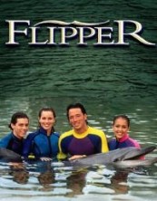 ������� (����� ����������� ��������) 2 ����� / Flipper / 1996