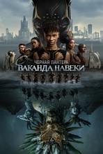 ������ �������: ������� ������ / Black Panther: Wakanda Forever / 2022