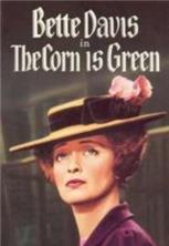 �������� ������� / The Corn Is Green / 1945