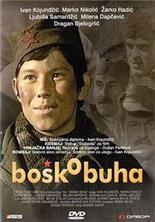 ����� ���� (���� �������� �����, ������������� �� ���) /  Bosko Buha / 1978 /  �� (��������)