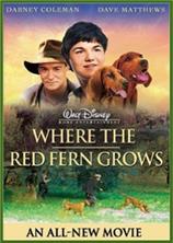 ������ �������� ����������� / Where the red fern grows / 2003