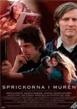 ������� � ����� / Sprickorna i muren (A Breach in the Wall) / 2003 / ��