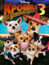 ������ �� �������-����� 3 / Beverly Hills Chihuahua 3: Viva La Fiesta! / 2012
