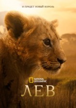 National Geographic. ��� / Lion / 2026