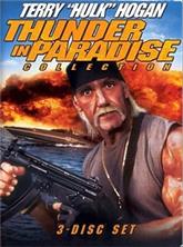���� � ��� 3: ����������� ���� / Thunder in Paradise 3: Deadly Lessons / 1995