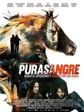 ����������� / Purasangre / 2016