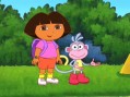 ���� ���������������: ��������� / Dora the Explorer: It s a Party [1 DVD]