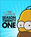�������� 21 �����/ The Simpsons 21 Season [1 DVD]