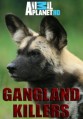 Animal Planet. ��������� ����� ������� / Gangland Killers / 2014