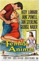 ����� / The Female Animal / 1958 / �� (�������)