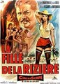 ������� ���� / La risaia / 1956