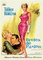 ��������� ������� / By Love Possessed / 1961