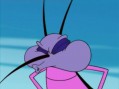 ���� � �������� 1 ����� / Oggy and the Cockroaches 1 Season [2 DVD]