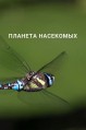 ������� ��������� / Planet Insect / 2022