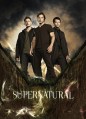 ������������������ 6 ����� / Supernatural Season 6  [3 DVD]