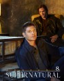 ������������������ 8 ����� / Supernatural Season 8  [3 DVD]