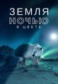 ����� ����� � ����� 1 ����� / Earth at Night in Color / 2020